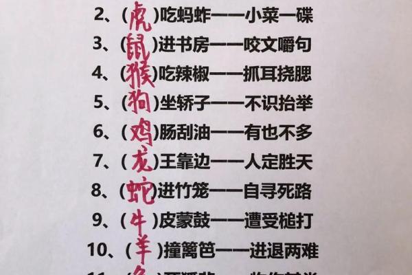 漫步地支：探寻生肖背后的智慧