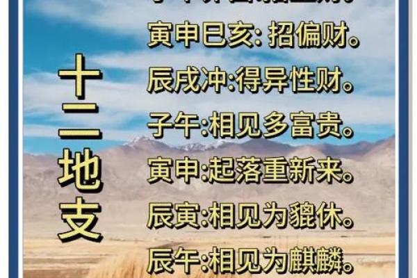 十二地支传奇：揭开古代命理学的神秘面纱