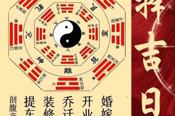 从狗头鸡尾生辰八字看人生运势