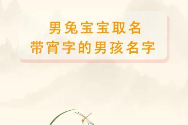 古今交融：为2015年出生的宝宝取名攻略
