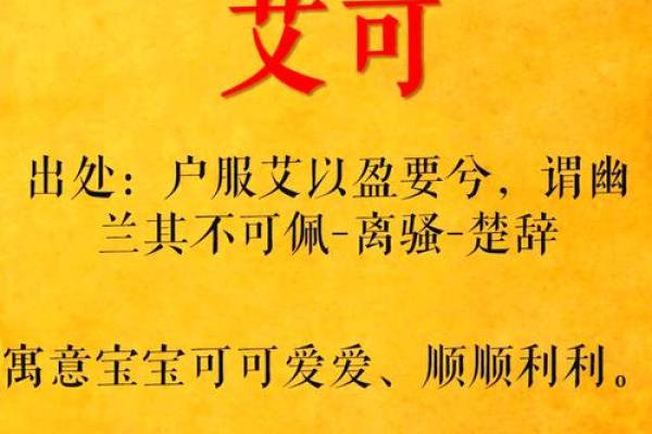 石姓女孩名字新潮流：独特个性与美好寓意融合
