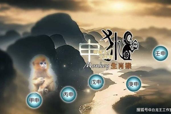 地支元力觉醒，运势飙升的秘密