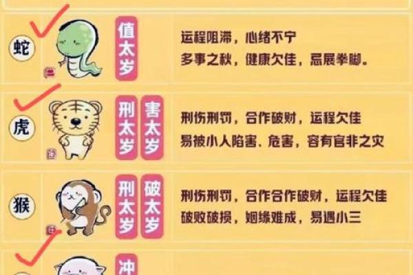 地支元力觉醒，运势飙升的秘密
