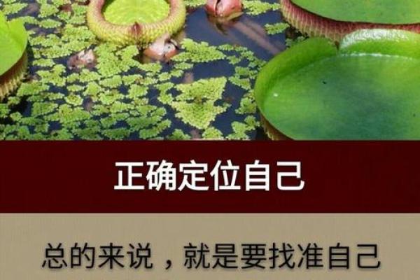 王菲人生转折点：命理师预言，下一个人生高峰即将到来！
