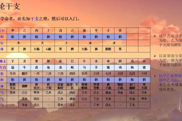 知命改命：揭秘风水命理学的神奇力量