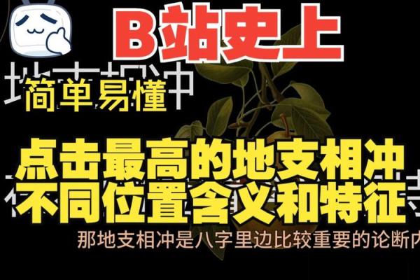 辰龙尊贵：地支相术揭示龙年出生者的命运密码