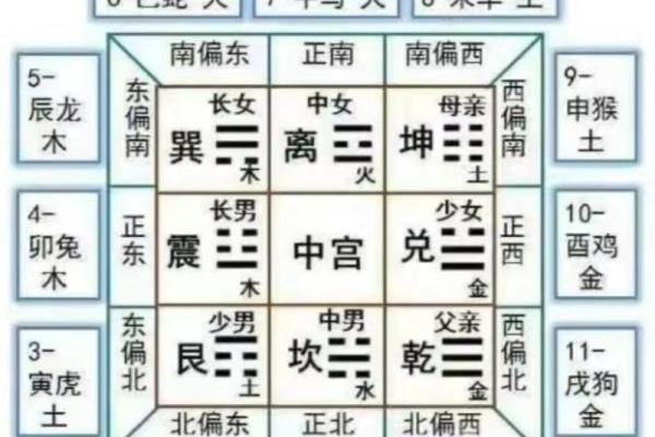 紫五行属什么？详细解析