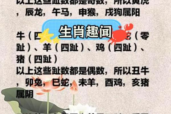 地支之谜：揭秘十二生肖背后的神秘力量