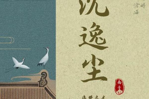 双字佳名解析：沈姓女孩名字精逿