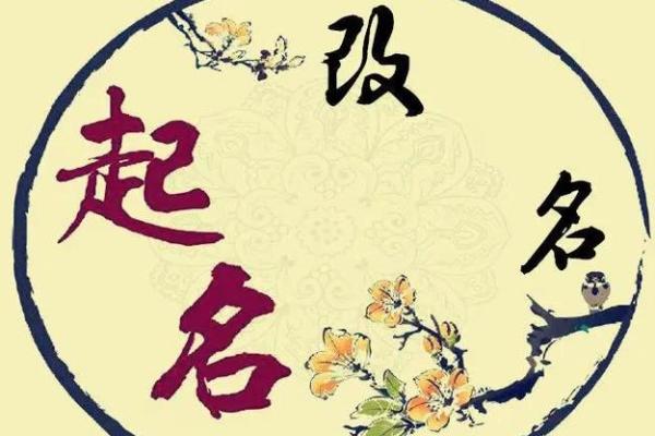 鸡年宝宝取名神器，创意无限