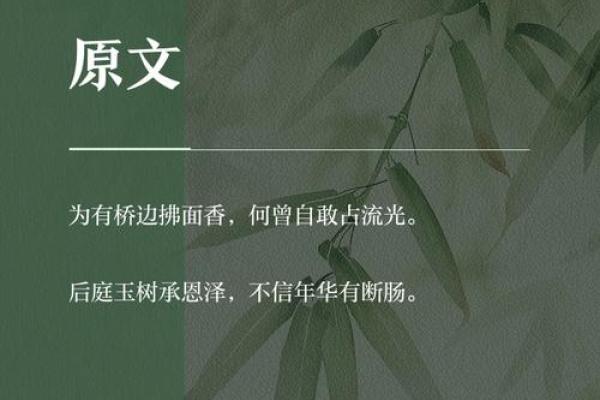 柳字在五行中的属性与含义