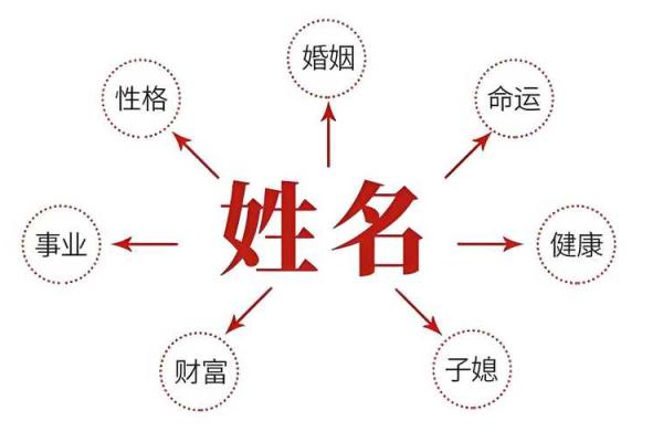周易起名服务公司对比，哪个更适合你