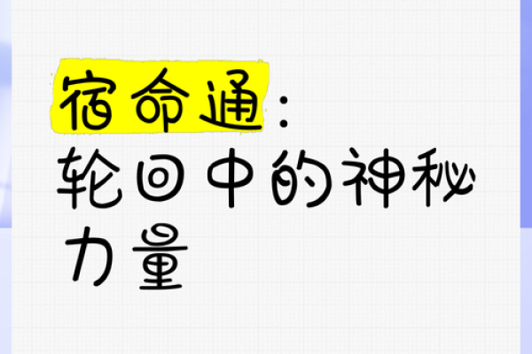 十二冲：揭秘命运中的神奇力量