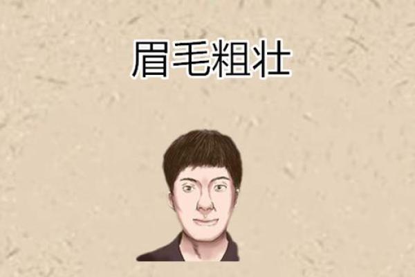 面相揭秘：眉形透露出的命运密码