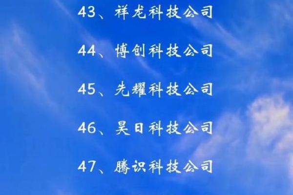 科技公司命名创意大全四：引领行业发展的独特名字推荐
