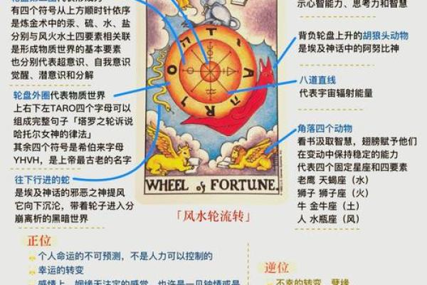 命运之手：深度解析命理学的智慧与奥秘