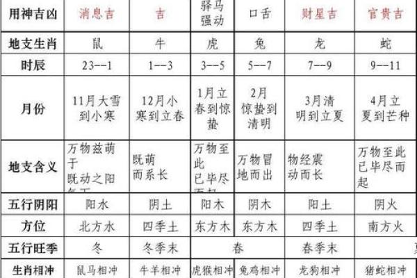 地支布局巧解天罗地网，揭秘神秘化解之道