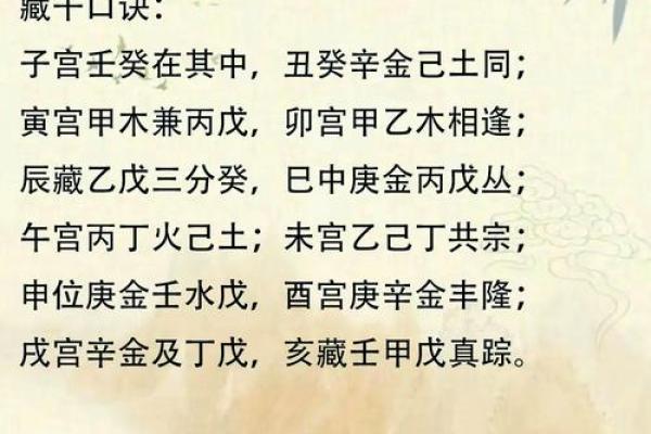 地支辰的秘密：揭示五行相生相克的奥秘
