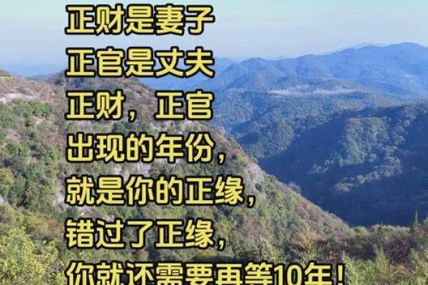 爆款合婚指南：地支天干搭配，幸福生活从此开始