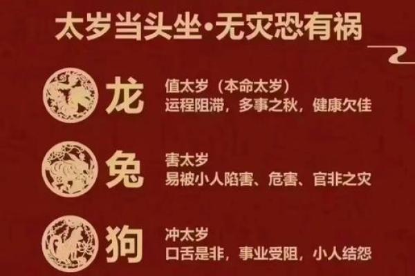 刚字五行解析与应用