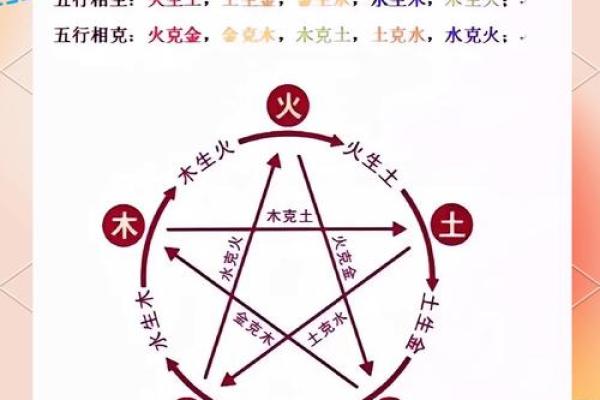 肩宽如翼，财运亨通的面相解析