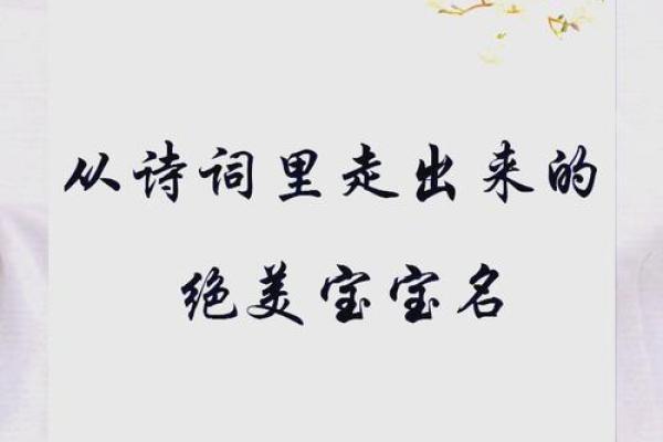 从明星名字中汲取灵感，打造独特的宝宝名字