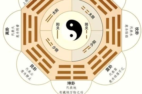 木火人面相：火光映照，木性内敛