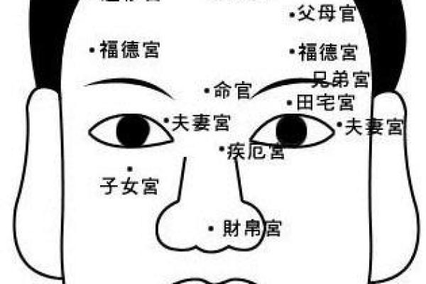 木火人面相：火光映照，木性内敛