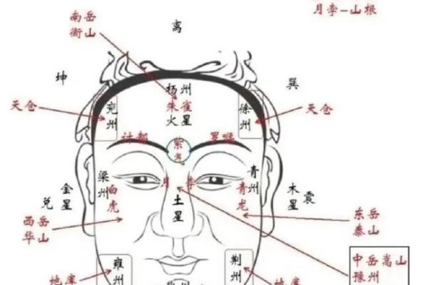 将军眉，英雄气，面相之奥秘