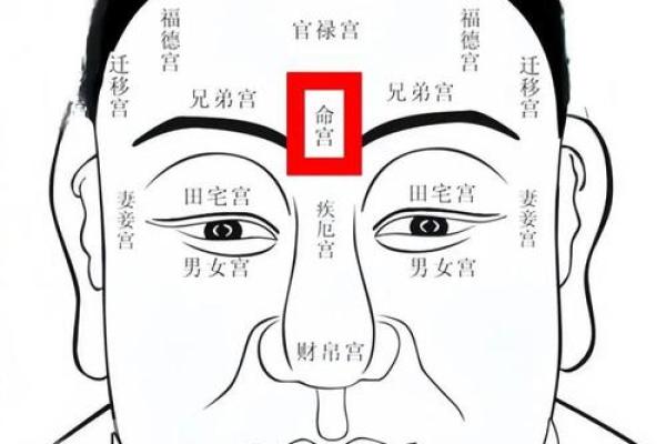 面相情宫饱满：解码魅力与情感运势的秘密