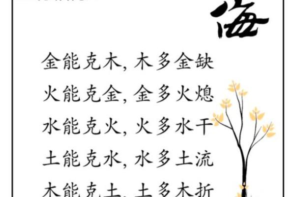 博五行：解读五行相生相克的奥秘