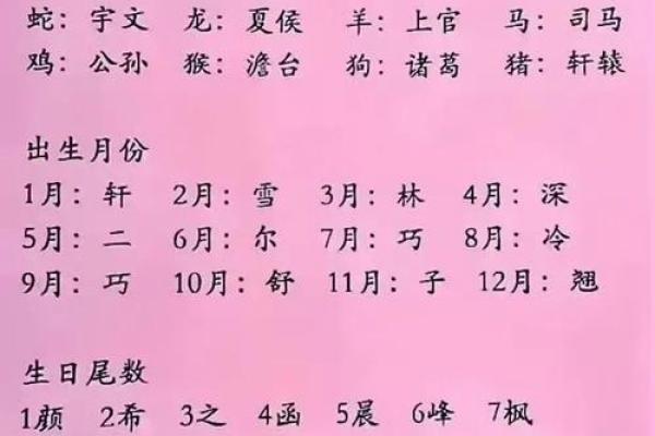 奇趣名字大揭秘：数鸡男孩的命名艺朿