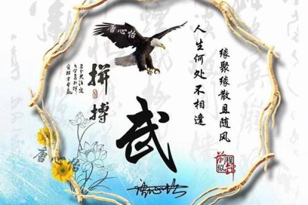 雄鹰展翅：武姓宝宝名字创意集