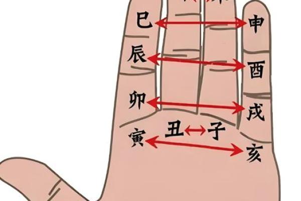 地支刑亥：破解生肖相冲的秘密武器