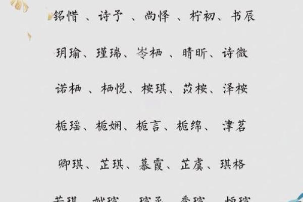 天真烂漫之选：宝宝名字大揭秘