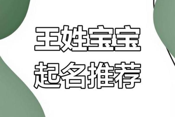 满分王姓女孩名字：寓意美好与成长的精逿