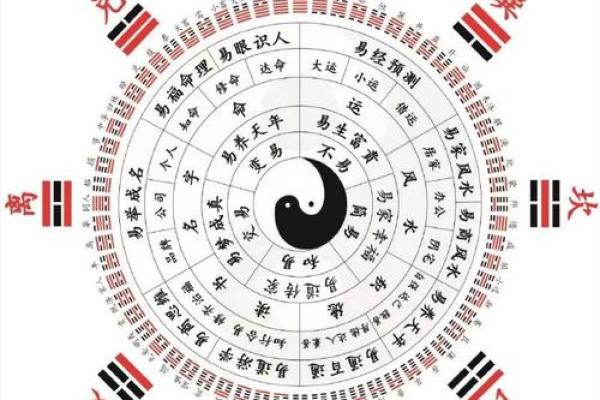 艮卦智慧：掌握地支的转运之道