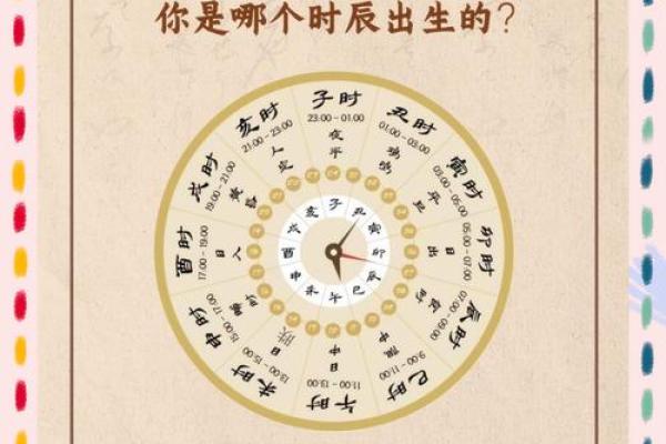 十二地支轮转，揭秘神秘周期奥秘