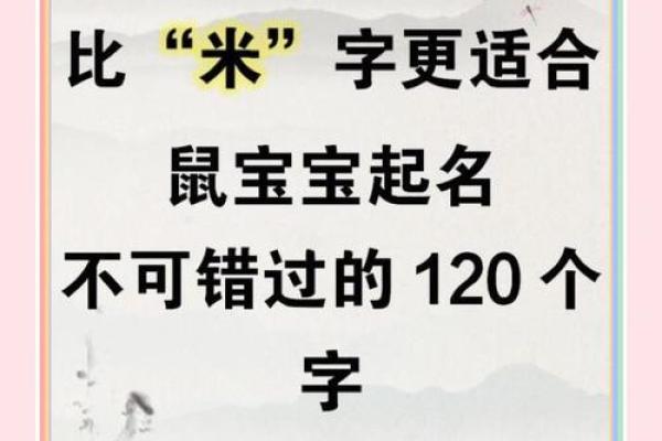 鼠宝宝取名技巧：创意好名分享