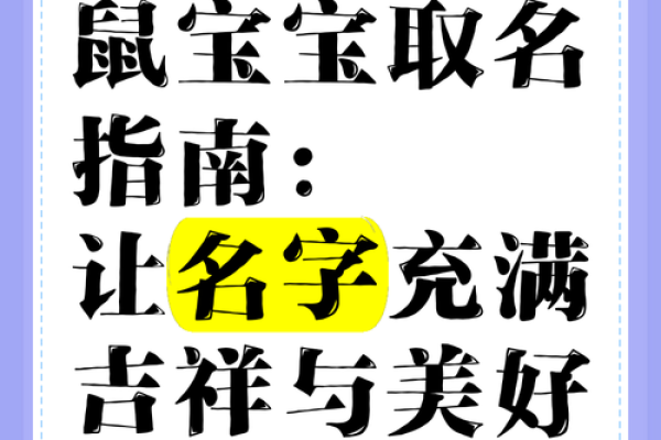 鼠宝宝取名技巧：创意好名分享