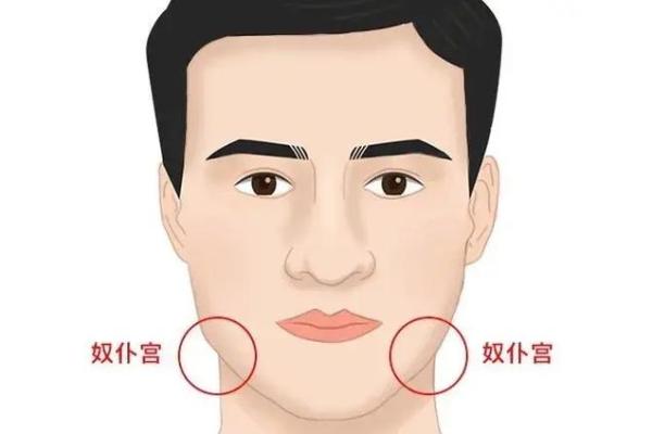 面相揭秘：奴仆宫饱满预示着哪些命运转折？