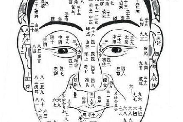 面相揭秘：奴仆宫饱满预示着哪些命运转折？