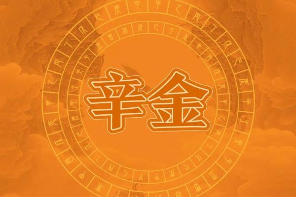 地支深藏辛秘，揭秘神秘力量