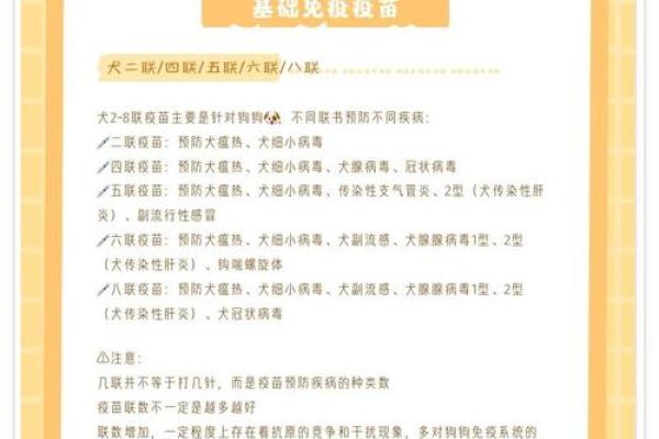 狗狗女孩名字大全：温馨宠物与可爱女孩的完美搭酿