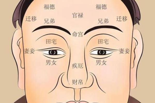 面相识真伪：揭秘命运好坏的神秘面相奥秘