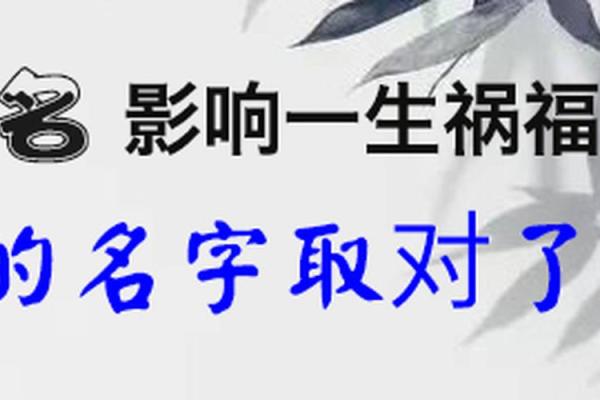 林肯八字大揭秘：命运轨迹中的智慧之光