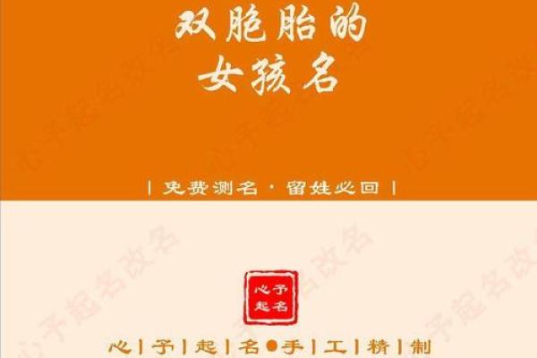 姐妹名字两个字的独特寓意与选择技巧