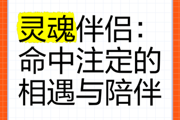 爱情天定：揭秘命中注定的最佳伴侣！