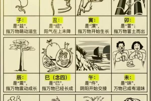地支申的运势调整指南，让你的生活焕然一新