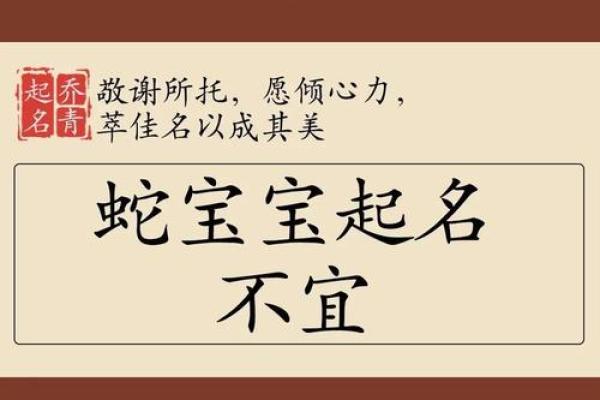 蛇生肖起名技巧：创意无限的名字灵感库